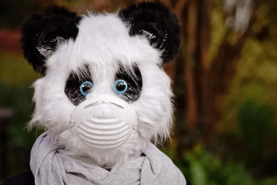 Kazino Cabaret Club Atbalsts